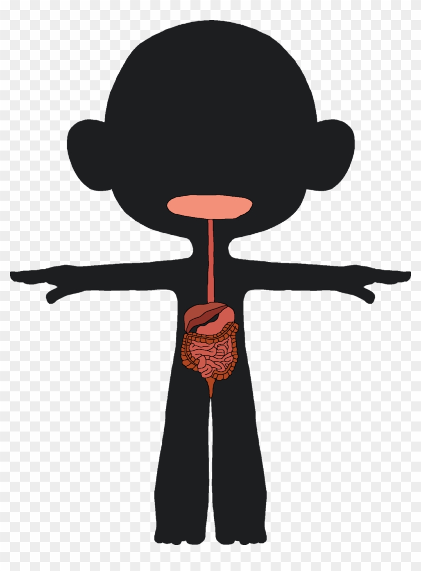 Canpootian Digestive System By Ericvonschweetz Canpootian - Cartoon #1181393