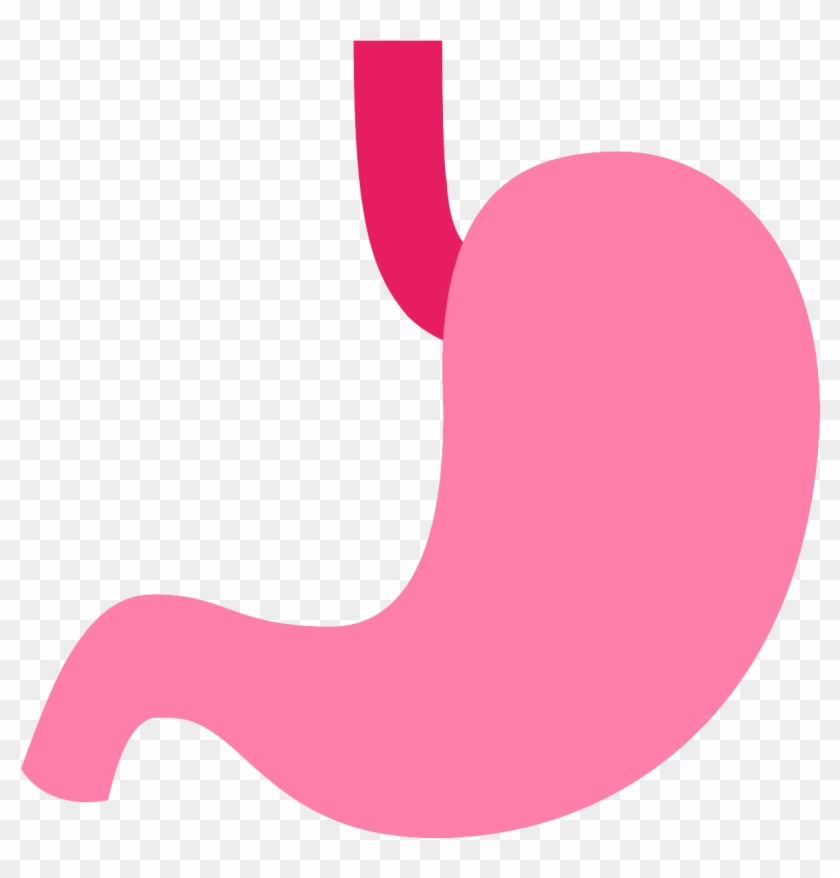 Computer Icons Human Interface Guidelines Human Digestive - Stomach #1181394