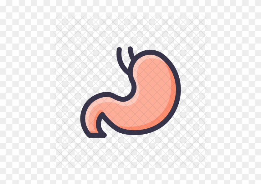 Digestion, Stomach, Getroenterology, Organ, Healthcare, - Stomach #1181397