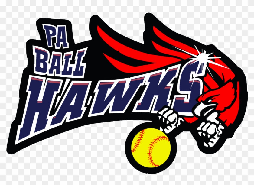 Pa Ball Hawks #1181432