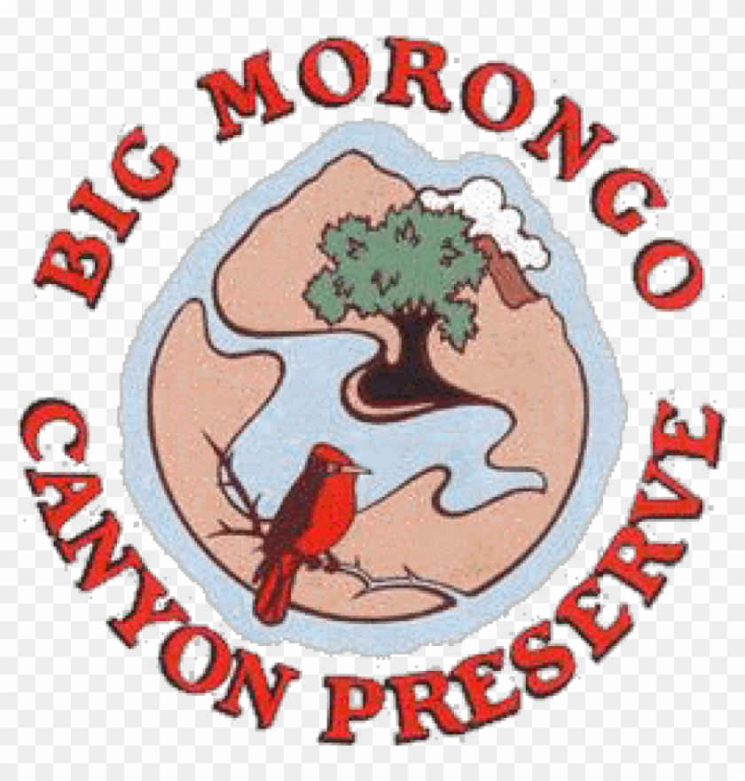Big Morongo Canyon Preserve - Big Morongo Canyon Preserve #1181728