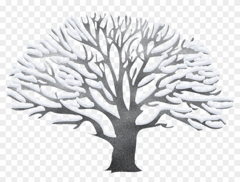 Download Free "winter Tree Clipart 3" Png Photo, Images - Download Free "winter Tree Clipart 3" Png Photo, Images #1181967