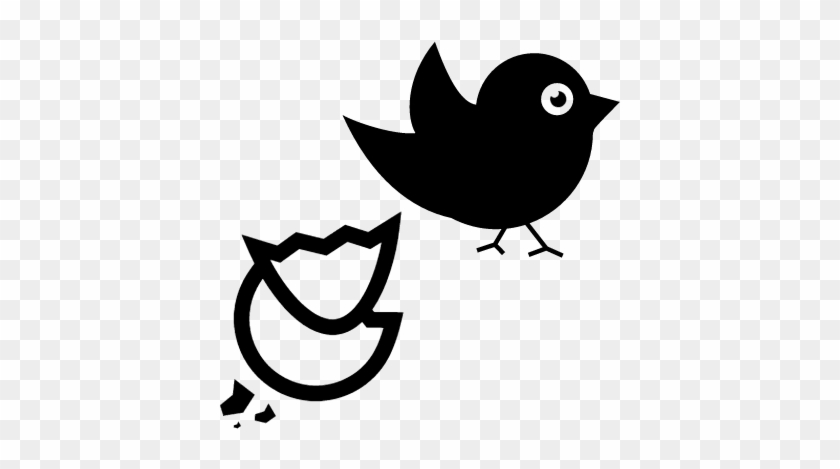 Black Bird And Broken Egg Vector - Pajaros Negro Para Dibujar #1182018