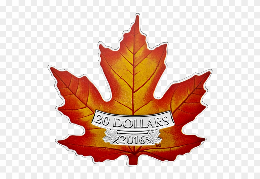Canada's Colourful Maple Leaf Shape Coin - Maple Leaf #1182326