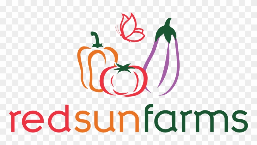 Platinum Sponsors - Red Sun Farms Logo #1182498