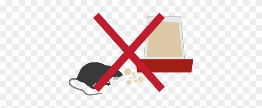 Clean Up Excess Feed That Birds Dont Eat - Clean Up Excess Feed That Birds Dont Eat #1182736