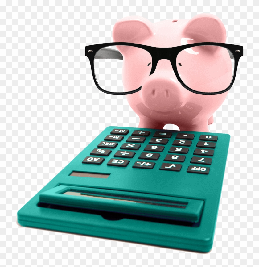 Pig With Glasses And Calculator - Domestic Pig #1182913