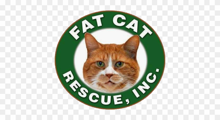 Fat Cat Rescue - Organization #1183033
