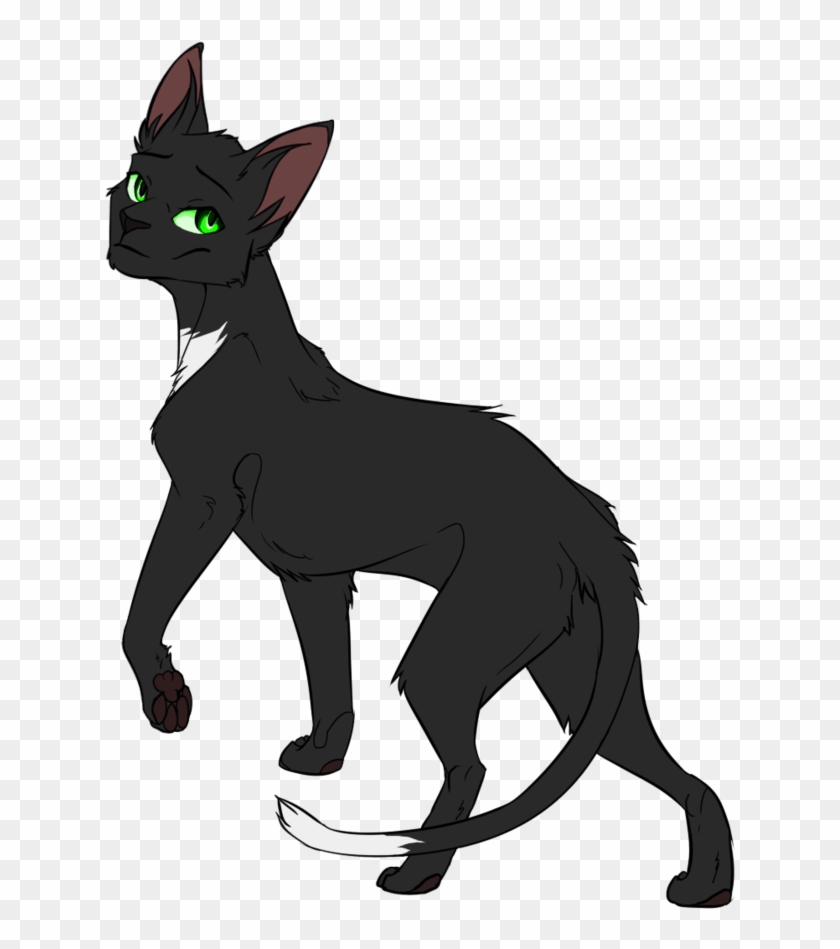 Warrior Cats Thunderclan Medicine Characters Tv Tropes - Warrior Cats Characters Png #1183260