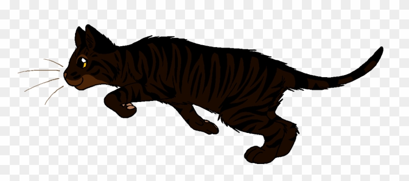 Squirrelwhisker - Warrior Cats Lightningtail #1183264