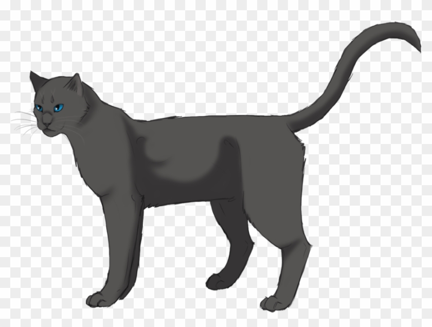 Rainwhisker - Thunderclan - Warrior Cats Rainwhisker #1183283