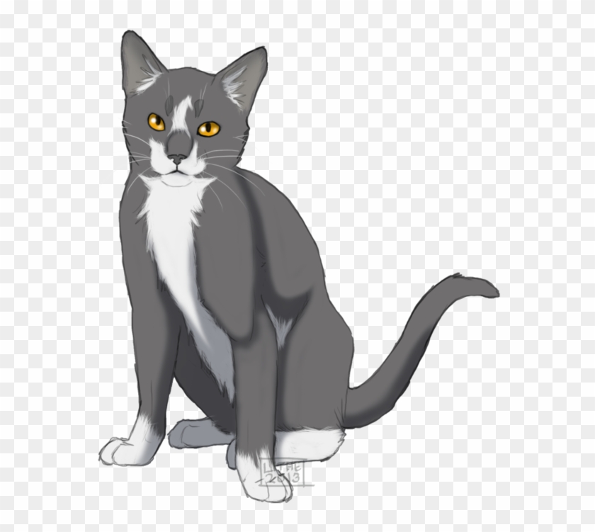 Clan - Thunderclan - Rank - Warrior Crush - Sunpelt - Gray And White Warrior Cats #1183309