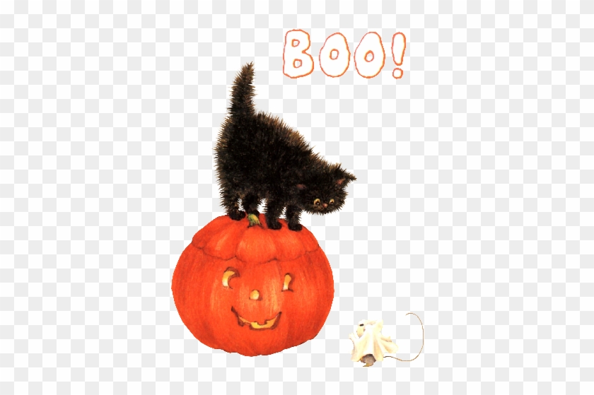 Halloween - Jack-o'-lantern #1183430