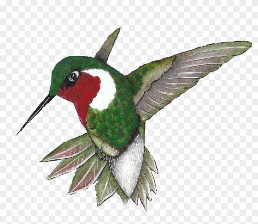 Click On The Sign Post For Additional Information About - Ruby-throated Hummingbird #1183465