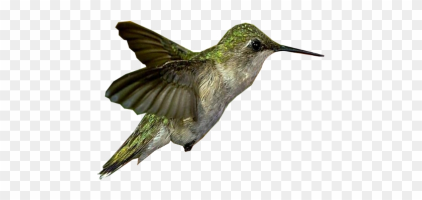 Tubes Printemps - Vintage Hummingbird Cabochon Tibetan Silver Glass Chain #1183521