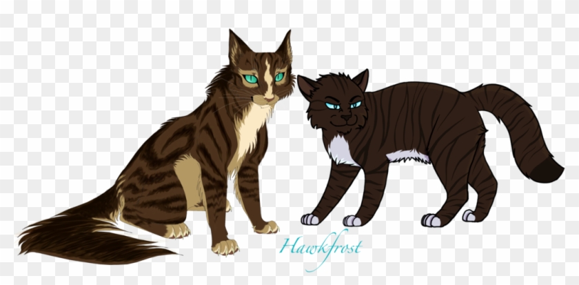 All Warrior Cats Challenge - Warrior Cats Hawkfrost Fanart #1183589