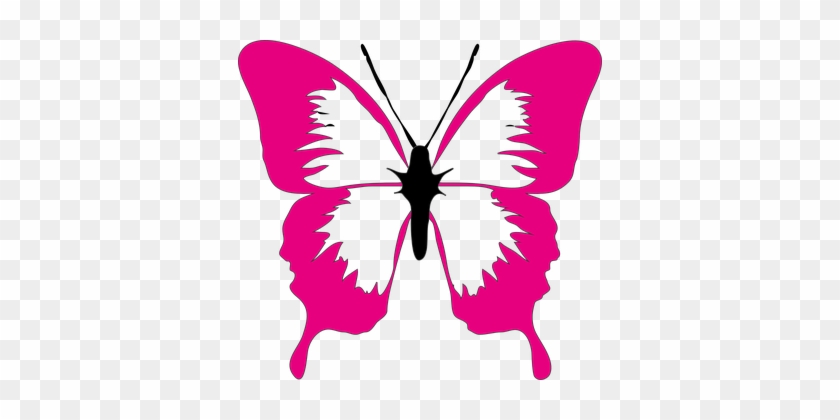 Butterfly Pink Nature Summer Spring Insect - Pink Butterfly Clipart #1183823