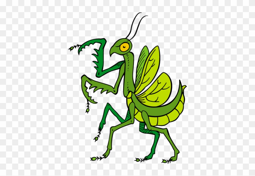 Cricket Insect Clipart Free - Mantis #1184116