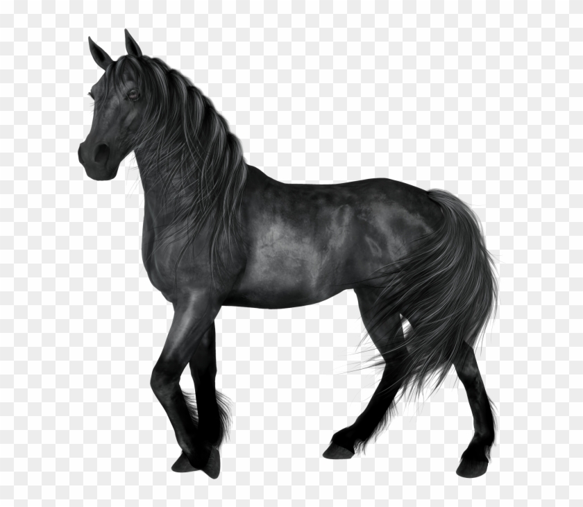 Black Horse Clipart - Black Horse Png #1184200