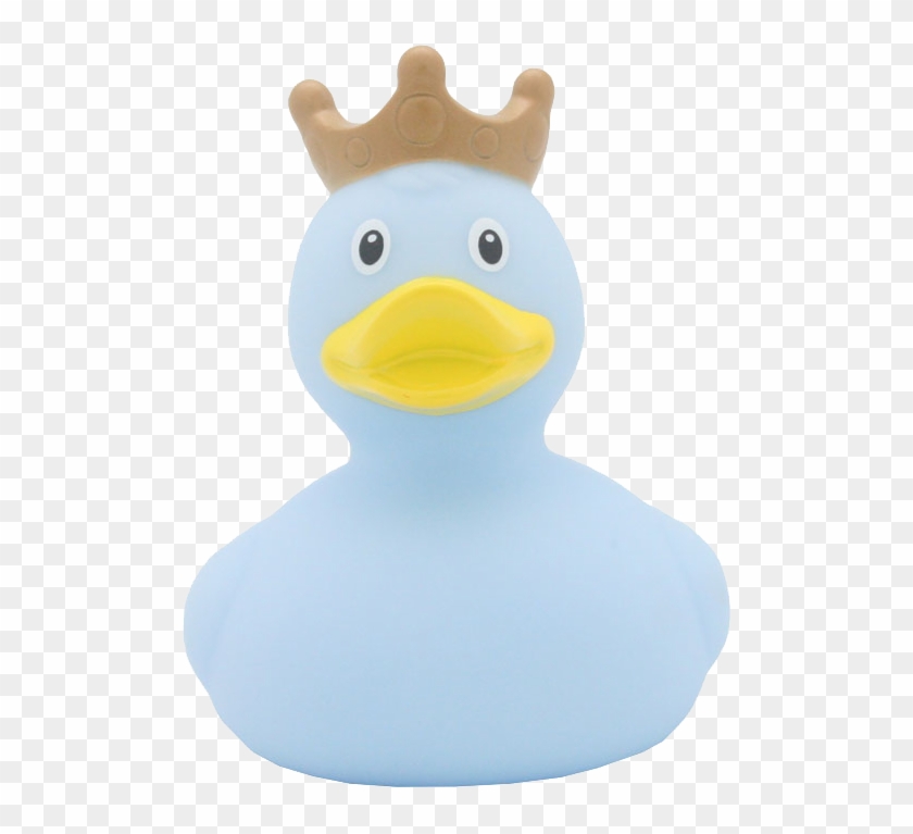 Pato Azul Corona - Blue Duck #1184316