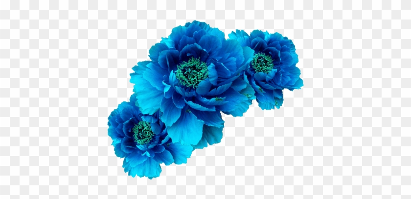 Flor Azul, La Corona Guirnalda De Aqua - Blue Flower Crown Png #1184326