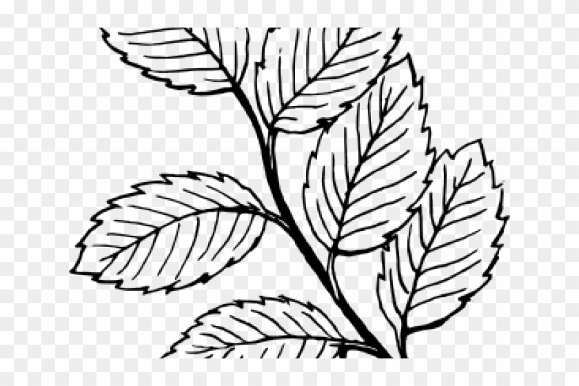 Rose Clipart Leaf - Clipart Of A Leaf In Black And White #1184775