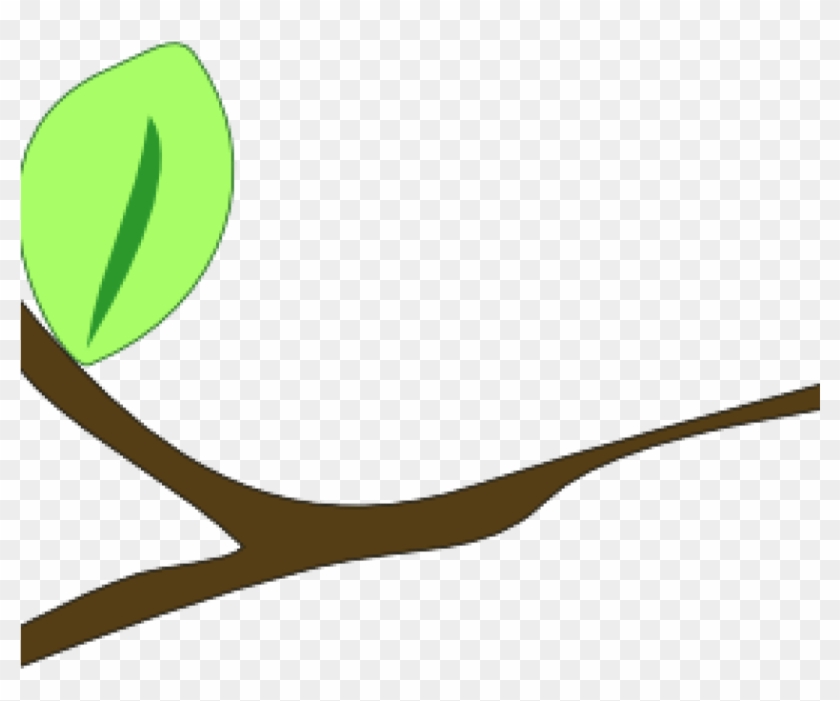 Branch Clipart Branch Clip Art At Clker Vector Clip - Branch Clipart Branch Clip Art At Clker Vector Clip #1184870