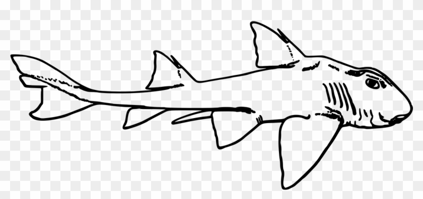 Leopard Shark Clip Art - Port Jackson Shark Heads #1185110