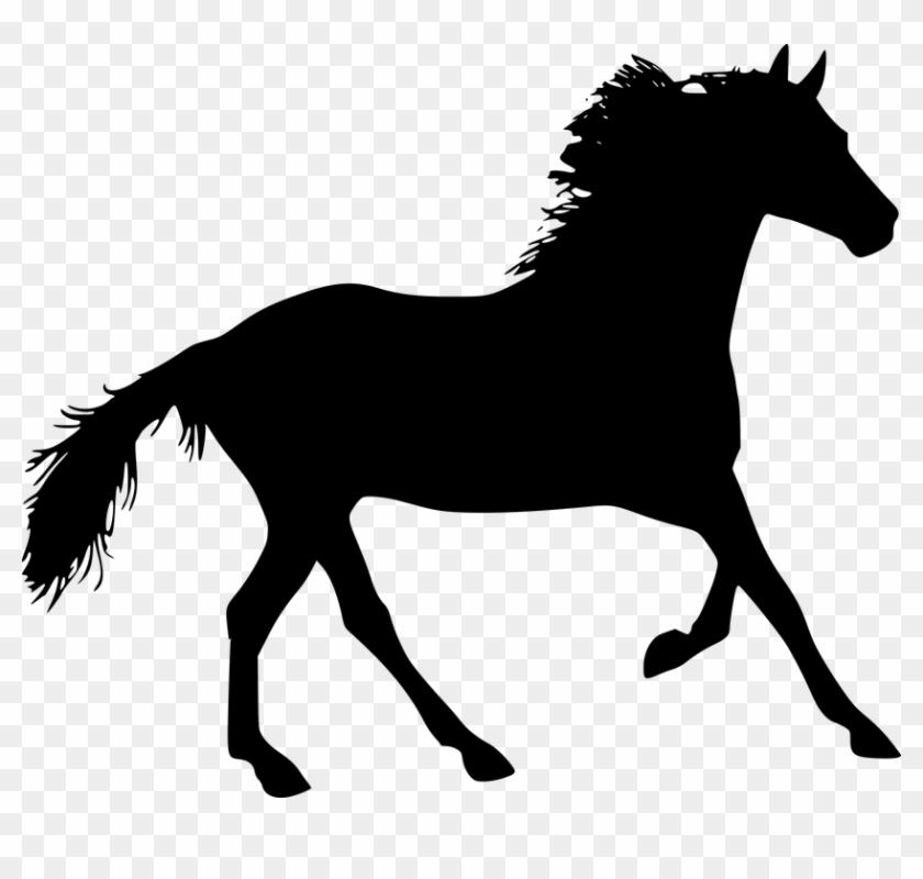 The Horse, Konik, Galop, Jump, Animal, Runs, The Stroke - Horse Silhouette #1185182