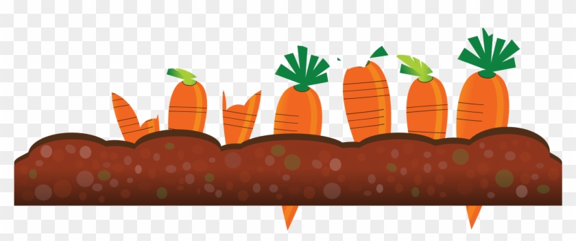 Abstract Crops Carrot 1969px 169 - Clip Art #193123