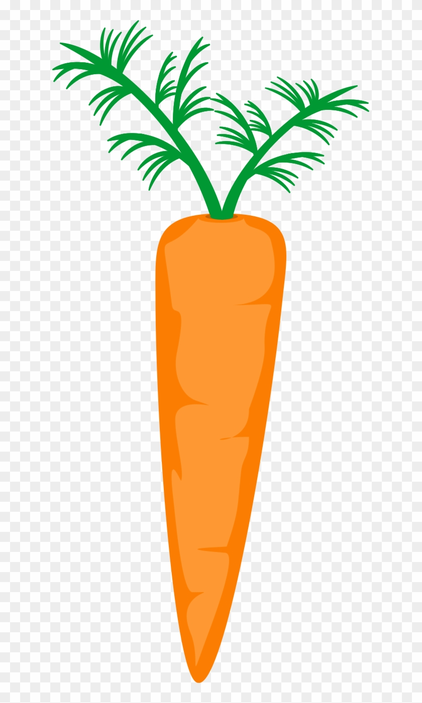 Carrot - Carrot #193148