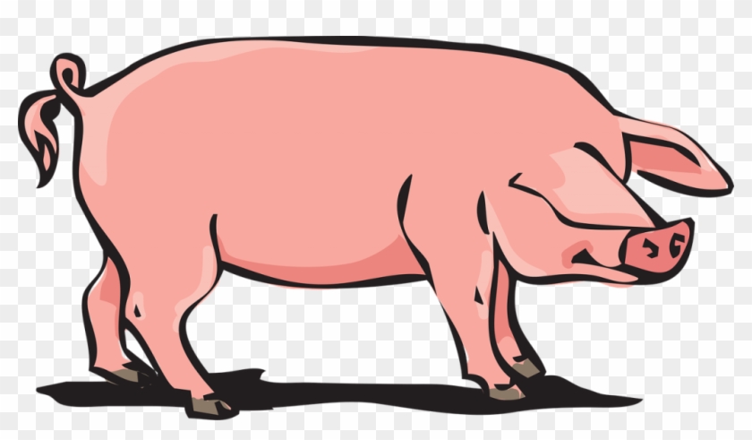 Pork Clipart Farm Pig - Animal Farm Pig #193166