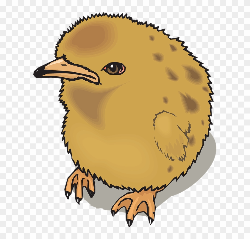 Fuzzy Baby, Farm, Bird, Chick, Animal, Fuzzy - Fuzzy Clipart #193168