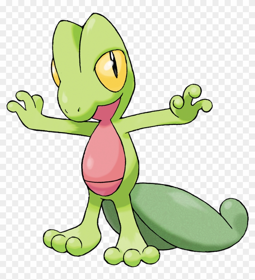 This Pure Grass Type Lizard Is Another Pokemon Favoured - Gen 3 Grass Pokemon #194044