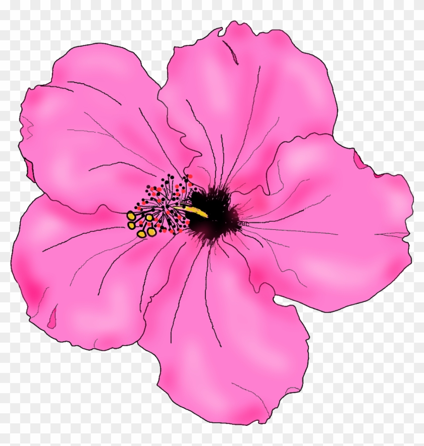 Flowers For Simple Hibiscus Flower Drawing - Hibiscus Flower Drawing Png #194349