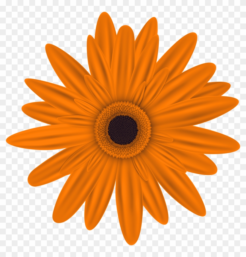 0, - Orange Flowers Clip Art #194366