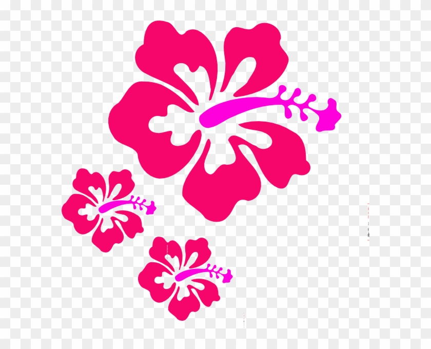 Hibiscus Vector Free Download #194413