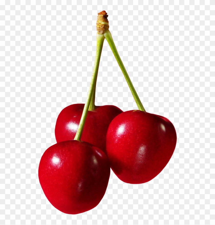 Cherries Fruit Png Clipart - Cherries Png #195510