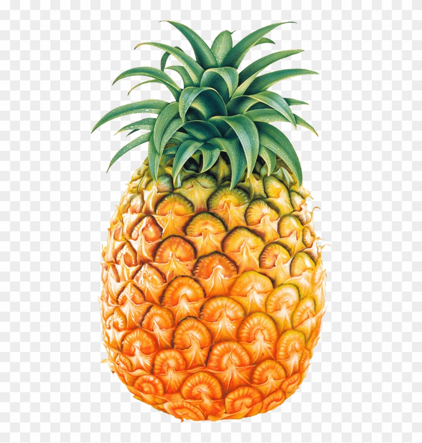 Juice Pineapple Clip Art - Pineapple Png #195557