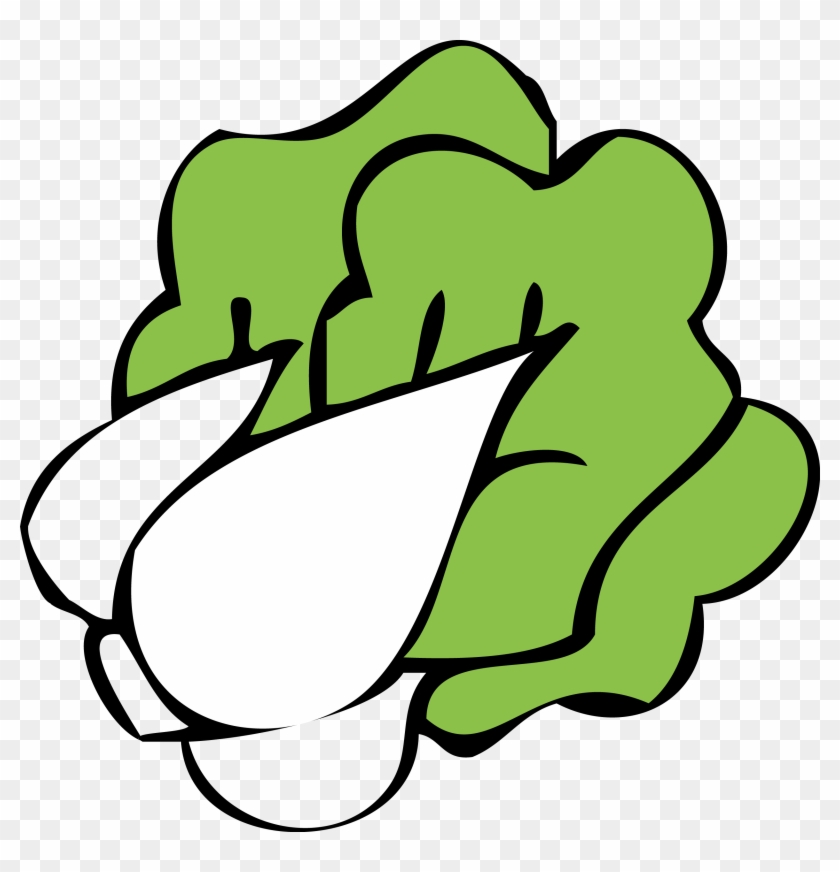 Cartoon Bok Choy Napa Cabbage Clip Art - Bok Choy Clipart #195900