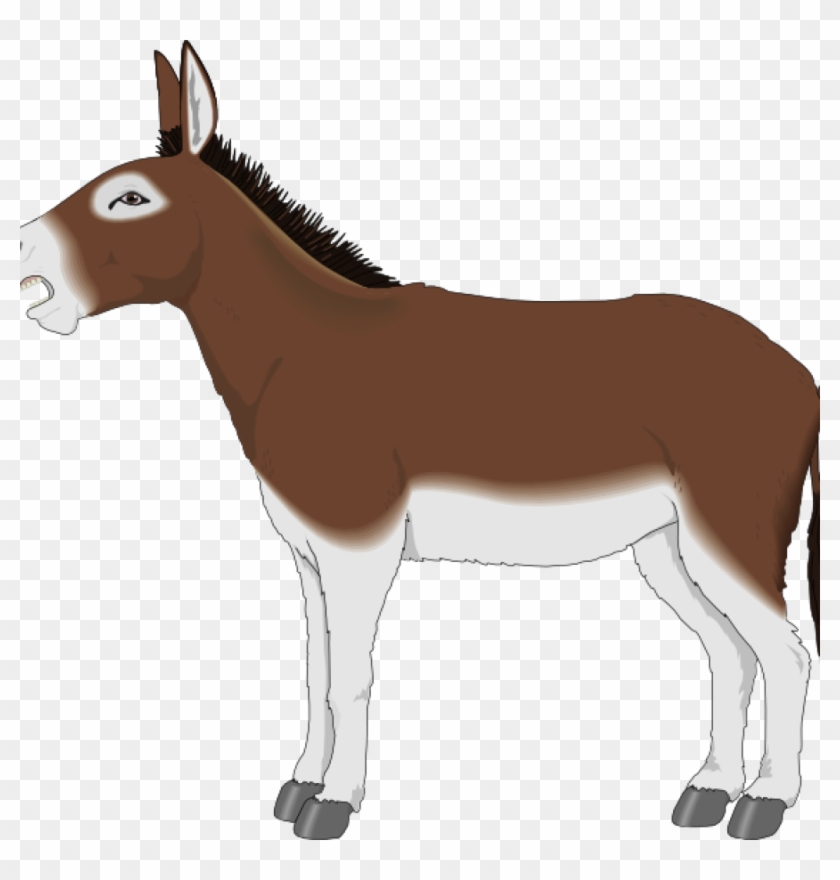Donkey Clip Art Brown And White Donkey Side View Clip - Donkey Clipart #196186