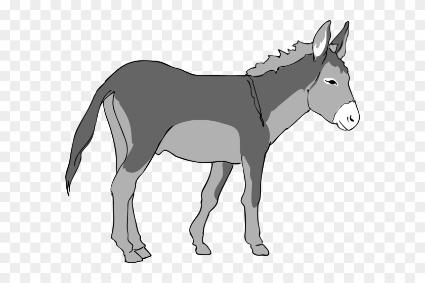 291 × 240 Pixels - Donkey Clipart #196249