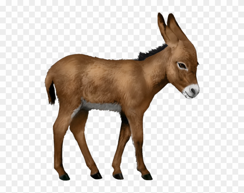 Donkey Png - Donkey Png #196251