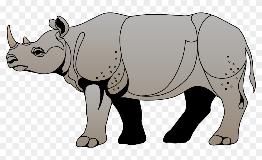 Animals Rhino Clipart Animal Cliparts Free Download - Rhinoceros #196294