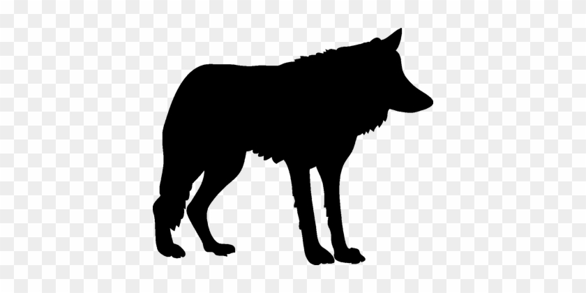 Animal Canis Lupus Predator Silhouette Wol - Wolf Silhouette Png #196349