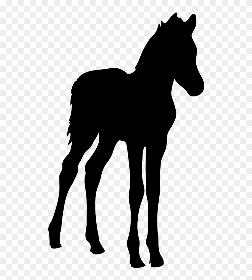 Horse Silhouette - Foal Silhouette Clip Art #196369