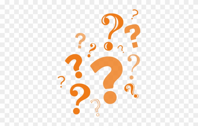 In 2014 We Rescued 388 Donkeys In Ireland - In 2014 We Rescued 388 Donkeys In Ireland #196429