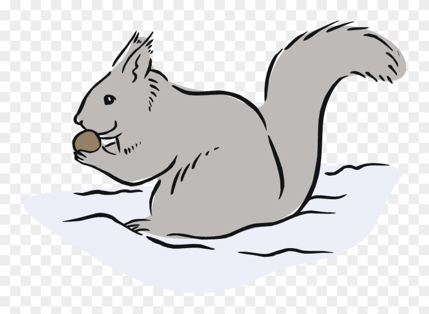 Squirrel Black And White Free Squirrel Clipart - Cartoon Of Squirrel Eating Acorns #196522