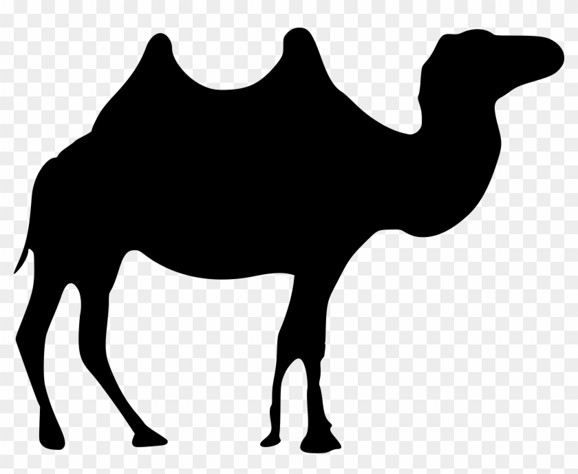 Wild Camel Icons Png - Camel Black Transparent #196537