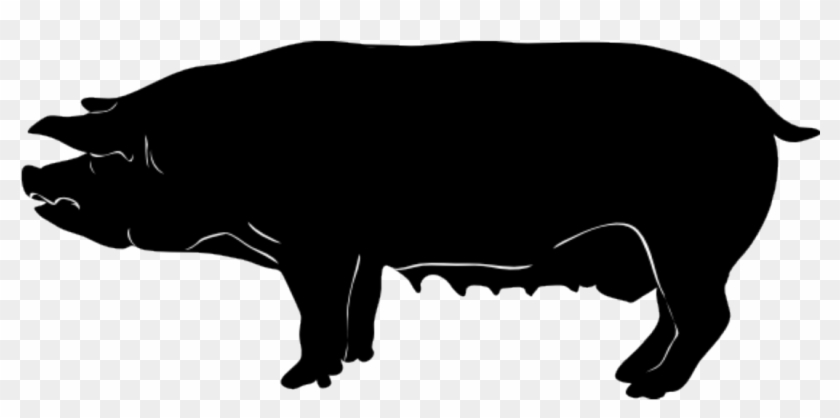 Pig Female Silhouette Png Public Domain Free Image - Pig Silhouette #196555